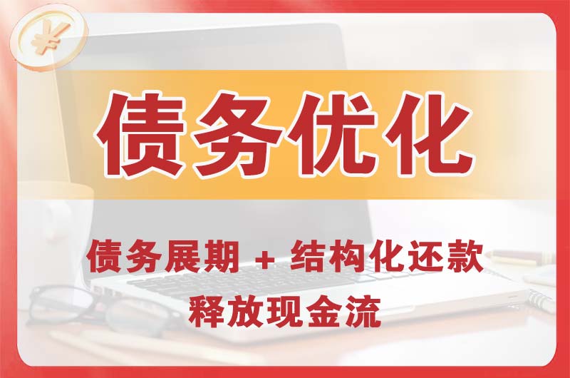 赵县债务优化