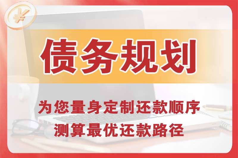 赵县债务规划